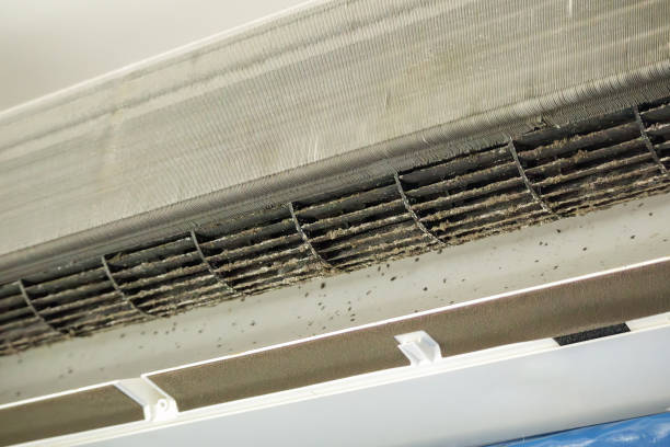 Best Commercial Air Duct Cleaning  in New Chicago, IN
